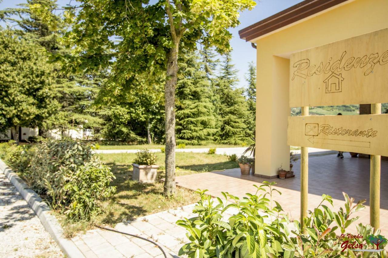 Il Vecchio Gelso - Agriturismo Rimini Montefiore Conca Exterior photo