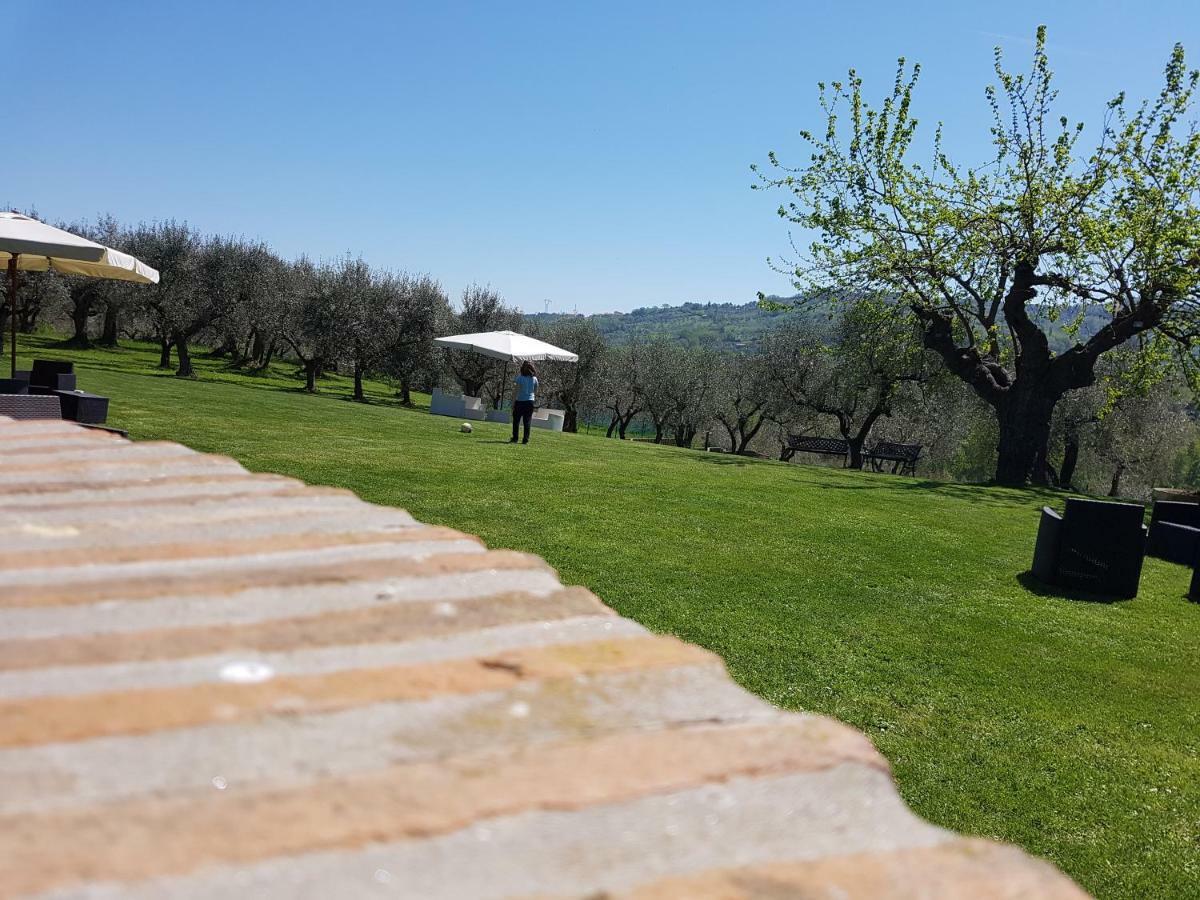 Il Vecchio Gelso - Agriturismo Rimini Montefiore Conca Exterior photo
