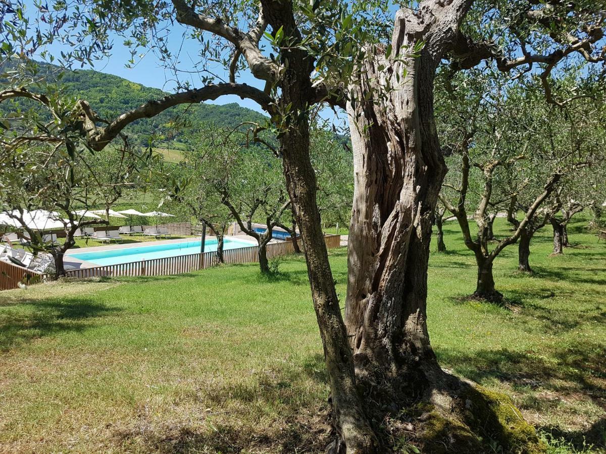 Il Vecchio Gelso - Agriturismo Rimini Montefiore Conca Exterior photo
