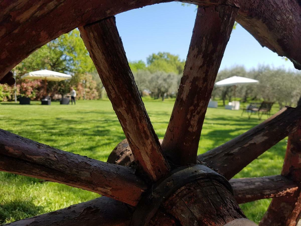 Il Vecchio Gelso - Agriturismo Rimini Montefiore Conca Exterior photo