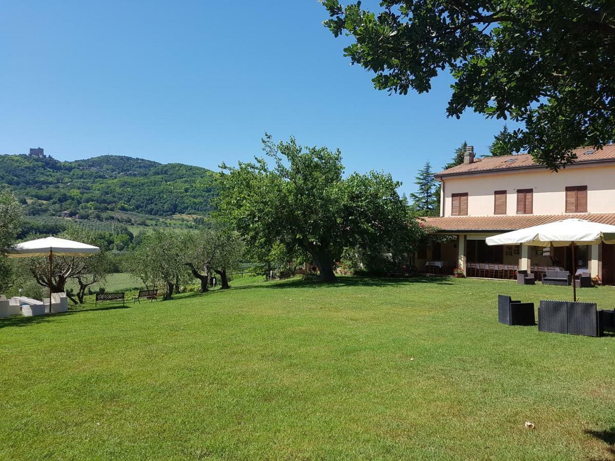 Il Vecchio Gelso - Agriturismo Rimini Montefiore Conca Exterior photo