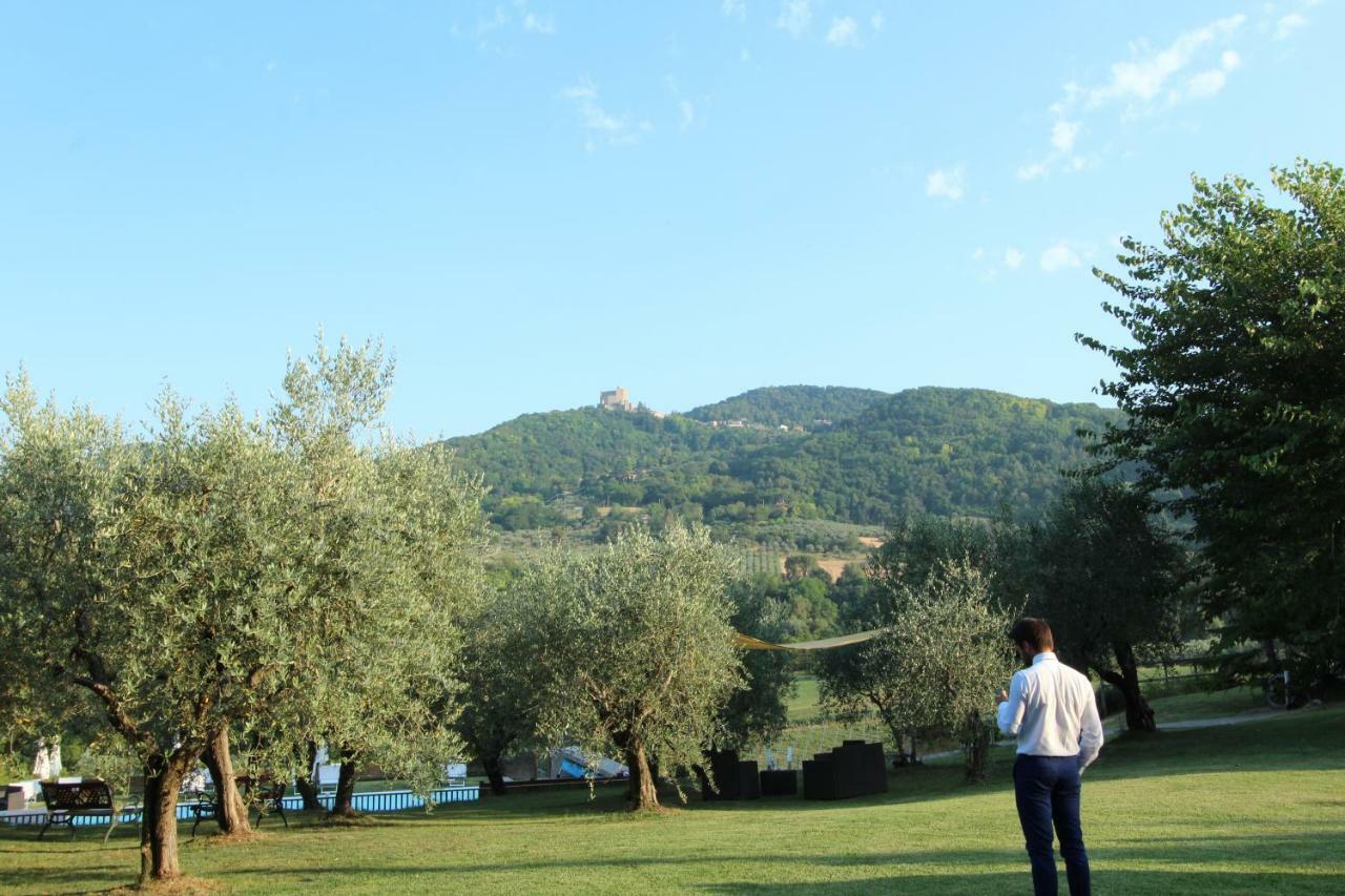Il Vecchio Gelso - Agriturismo Rimini Montefiore Conca Exterior photo