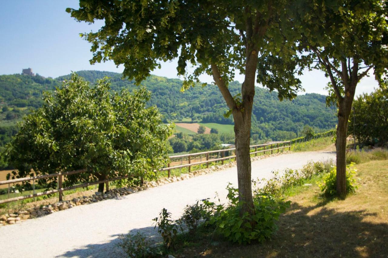 Il Vecchio Gelso - Agriturismo Rimini Montefiore Conca Exterior photo