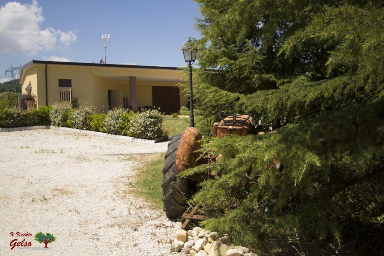 Il Vecchio Gelso - Agriturismo Rimini Montefiore Conca Exterior photo