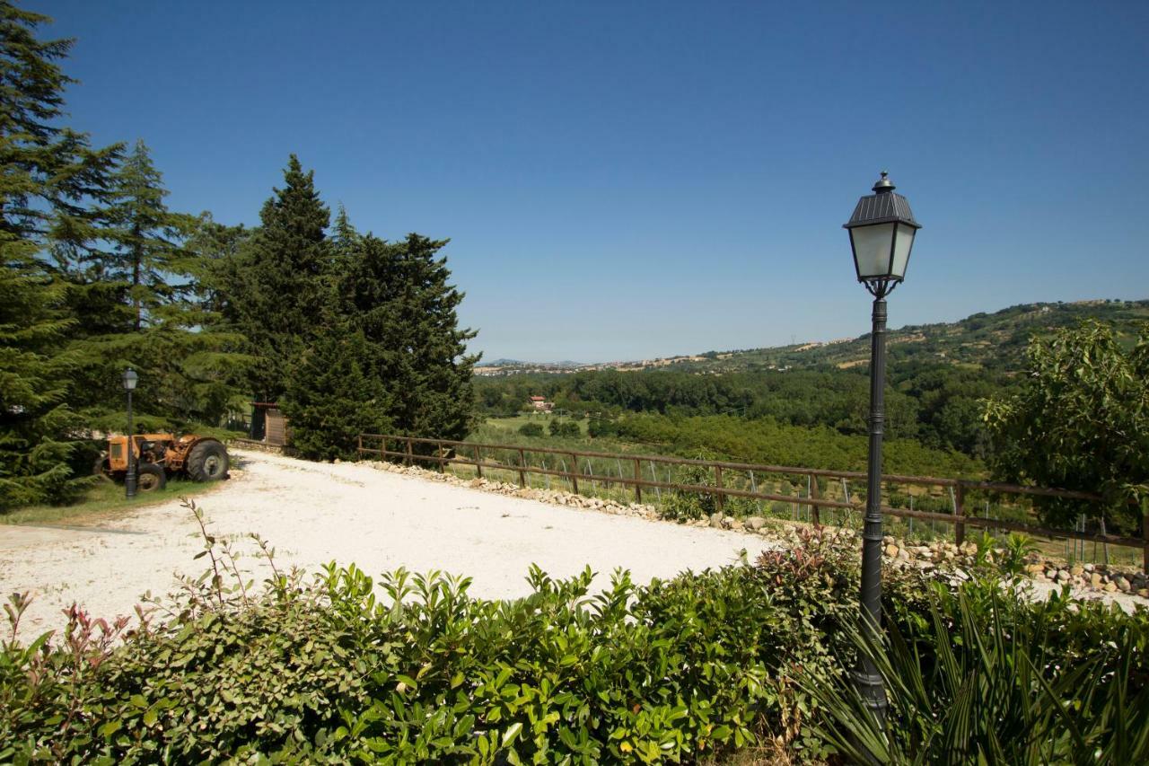 Il Vecchio Gelso - Agriturismo Rimini Montefiore Conca Exterior photo