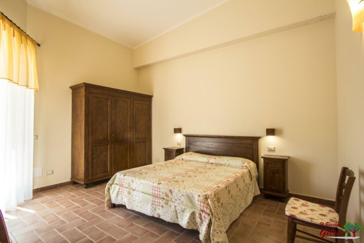 Il Vecchio Gelso - Agriturismo Rimini Montefiore Conca Exterior photo