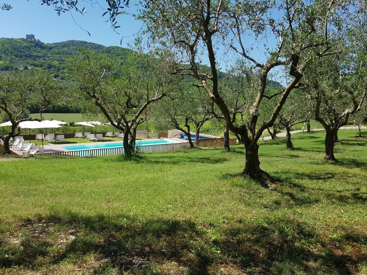 Il Vecchio Gelso - Agriturismo Rimini Montefiore Conca Exterior photo