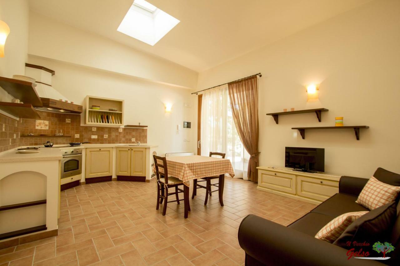 Il Vecchio Gelso - Agriturismo Rimini Montefiore Conca Exterior photo
