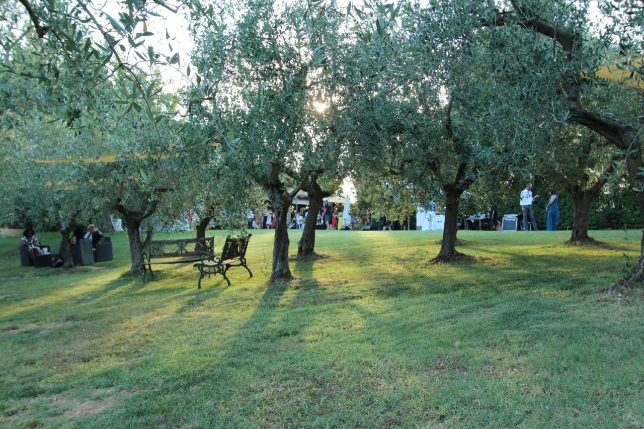 Il Vecchio Gelso - Agriturismo Rimini Montefiore Conca Exterior photo